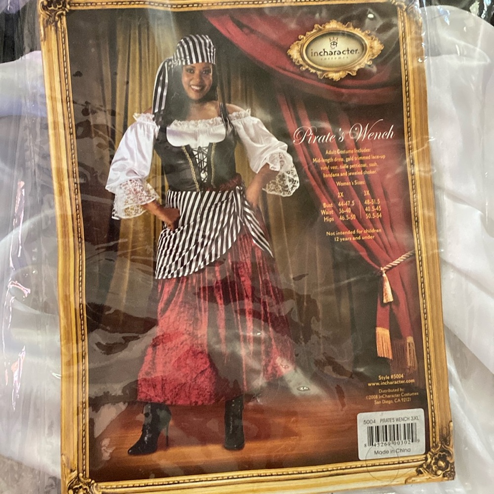 InCharacter Plus size Pirate Wench costume